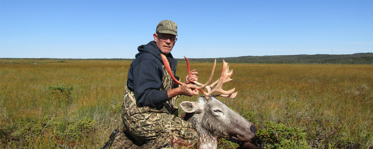 Caribou Hunting at Newfoundland Wilderness Outfitters