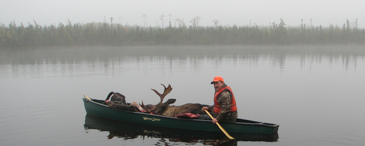 Moose Hunting at Newfoundland Wilderness Outfitters