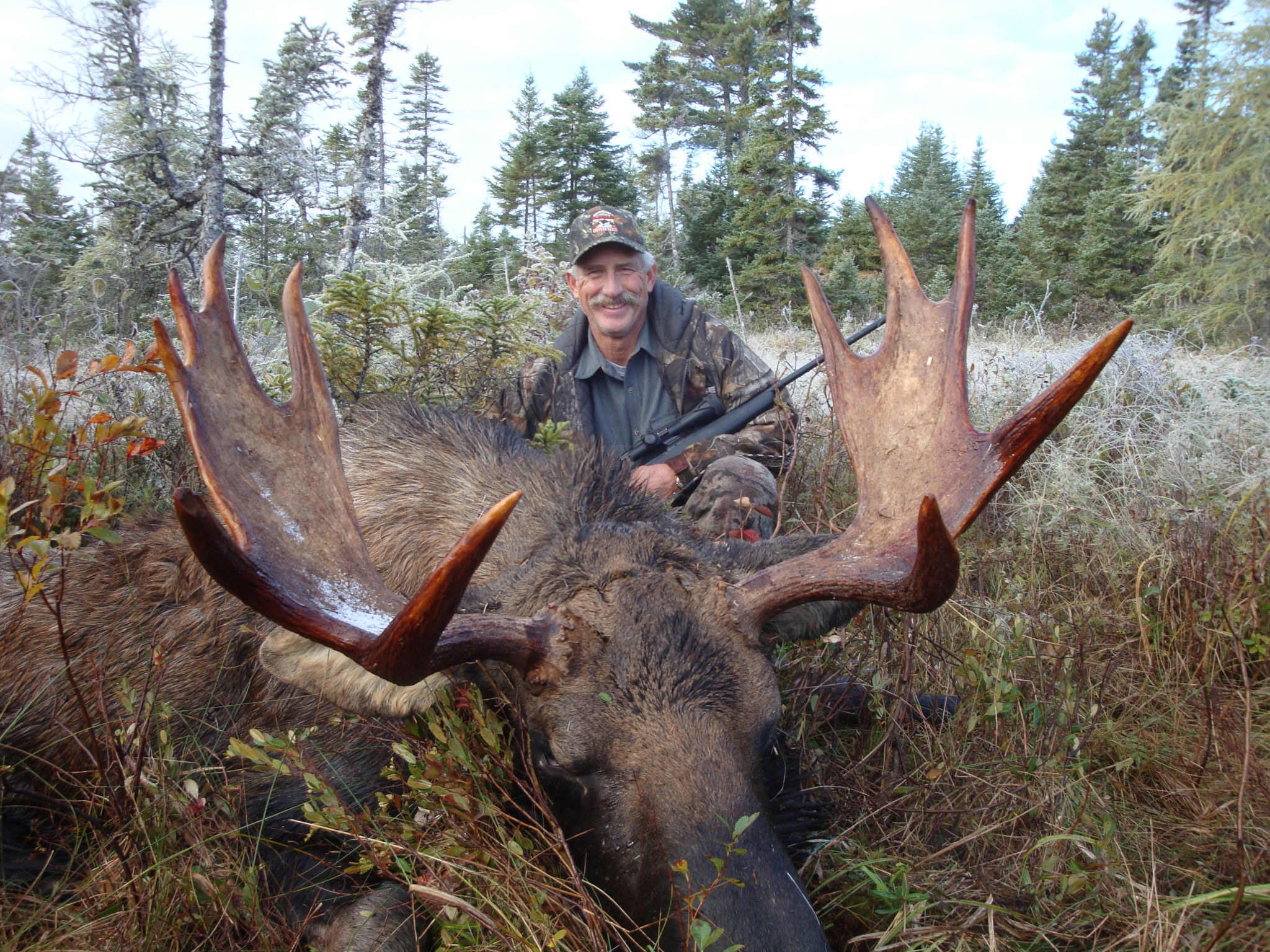 Moose hunting at Newfoundland Wilderness Outfitters